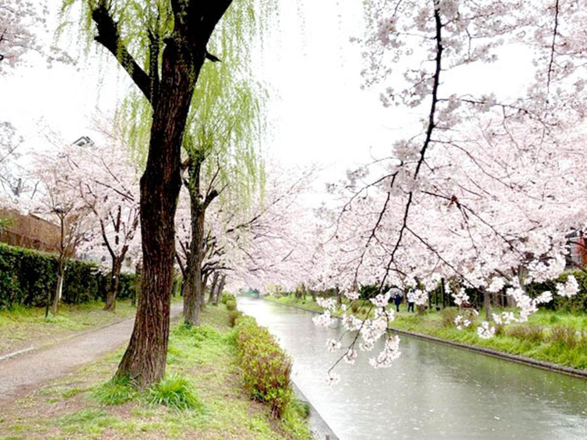 京都市 雀庵ヴィラ エクステリア 写真
