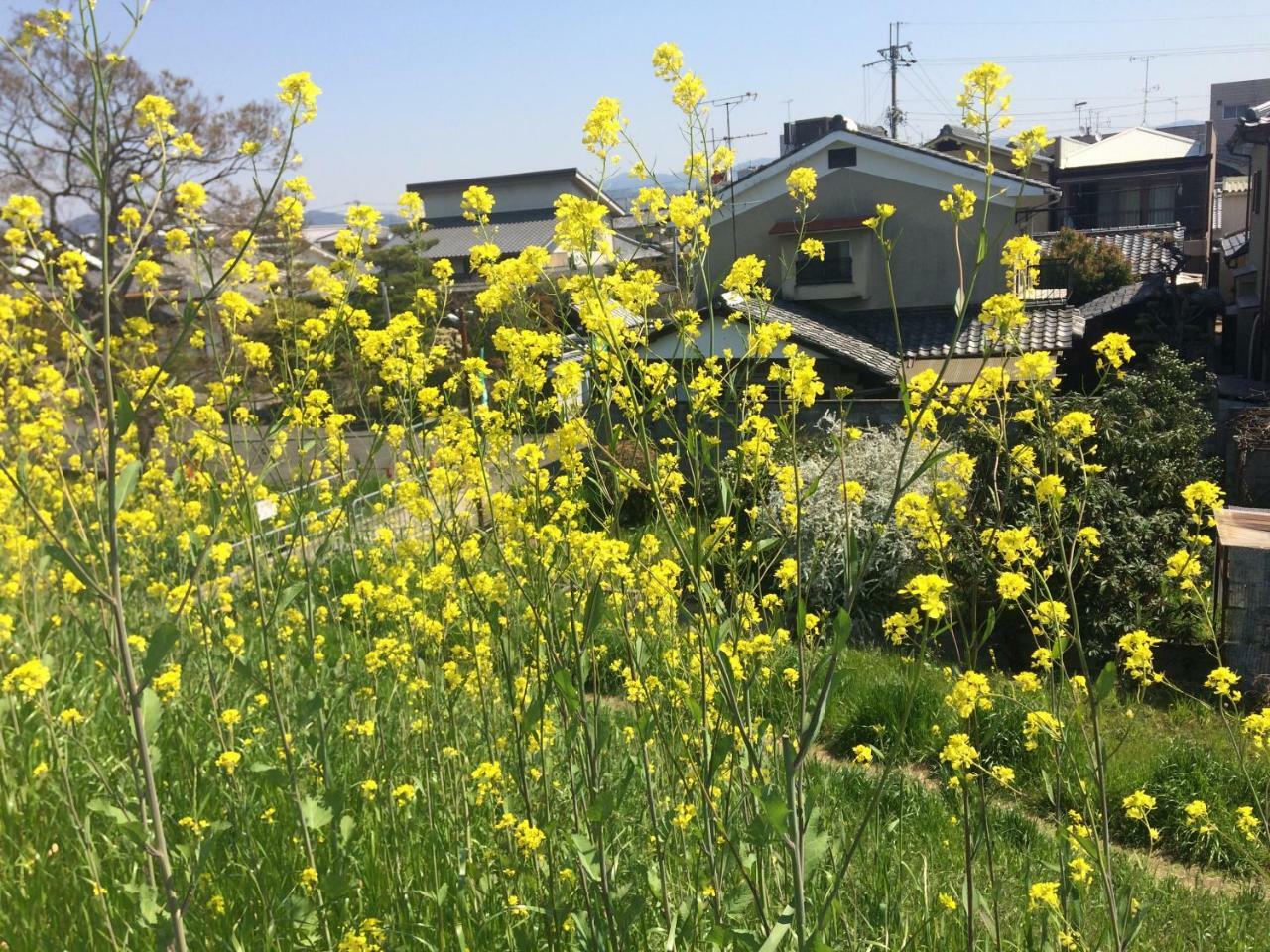 京都市 雀庵ヴィラ エクステリア 写真