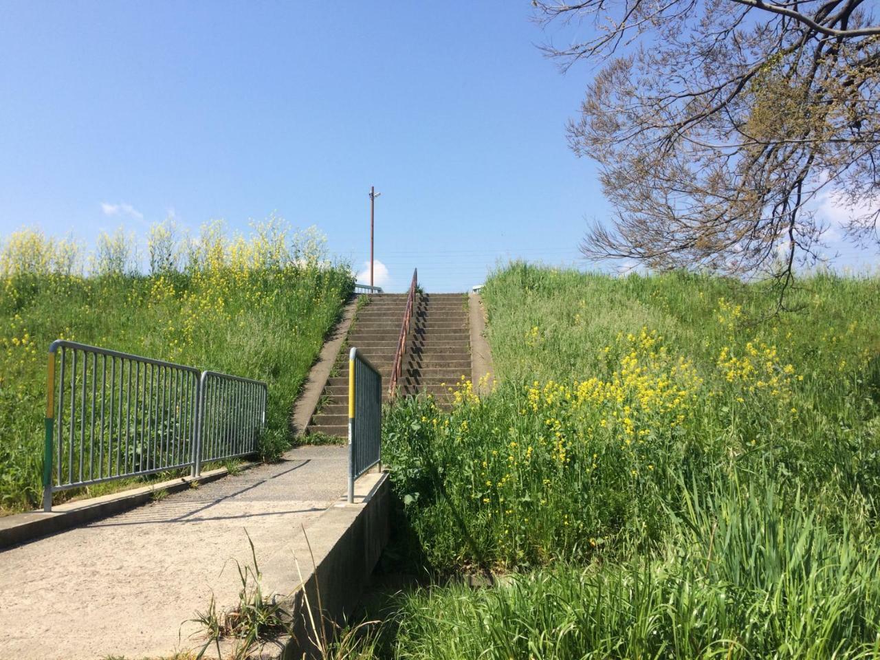京都市 雀庵ヴィラ エクステリア 写真