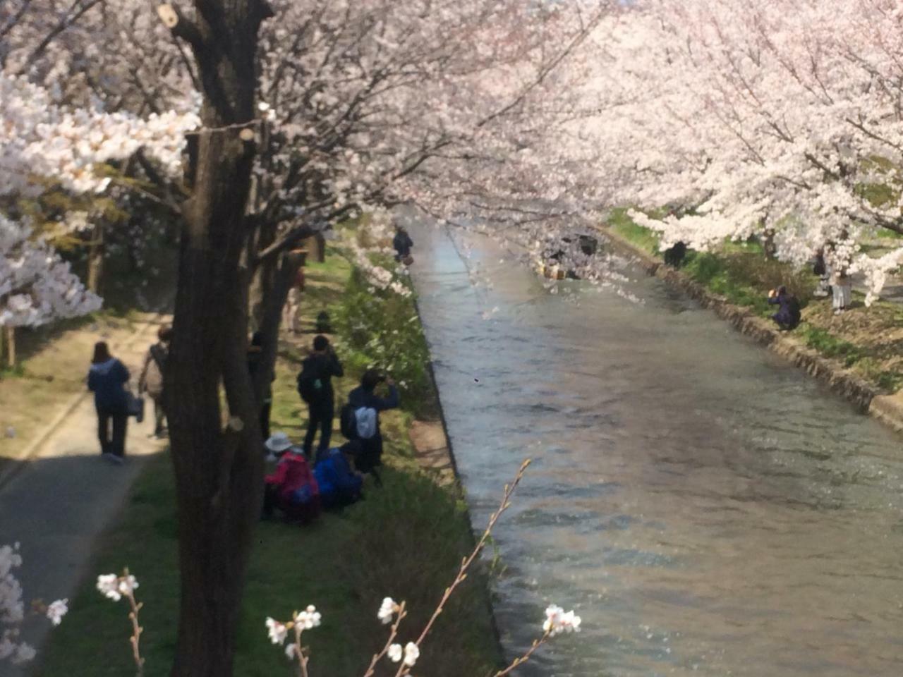京都市 雀庵ヴィラ エクステリア 写真