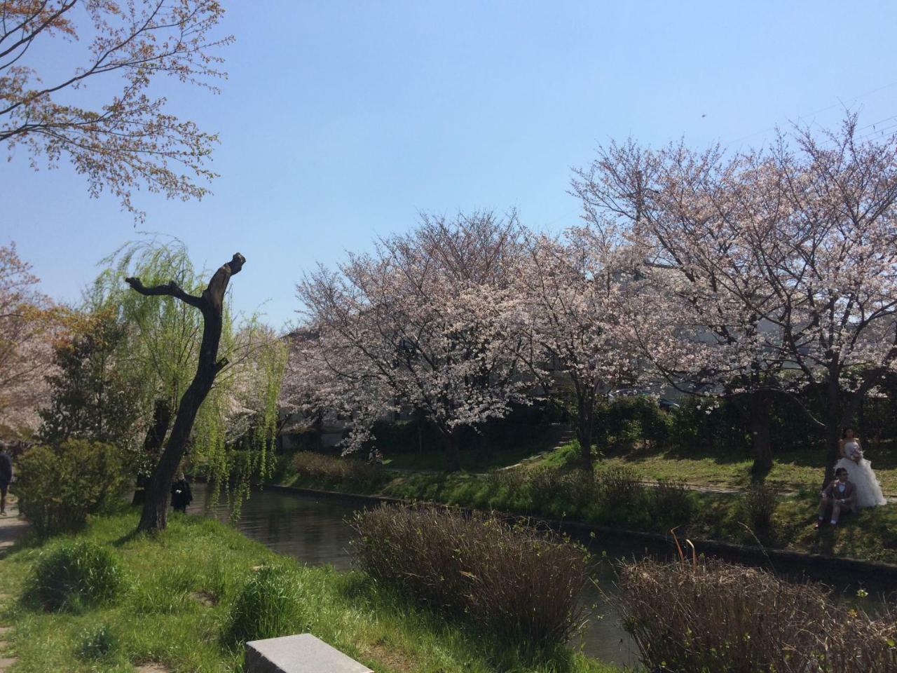 京都市 雀庵ヴィラ エクステリア 写真