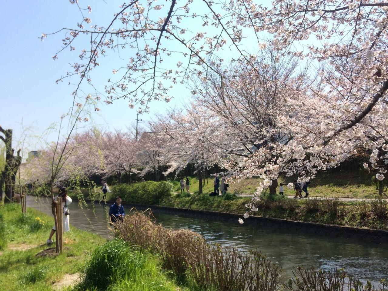 京都市 雀庵ヴィラ エクステリア 写真